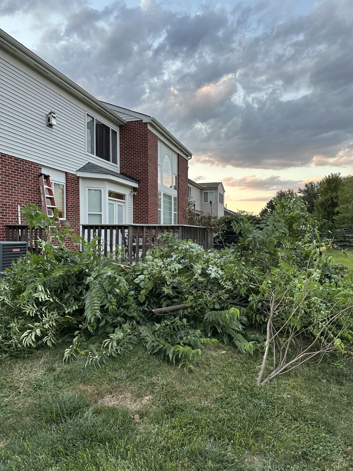 Construction Debris Removal